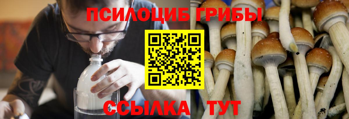 Кимры  Псилоцибиновые грибы ЛСД  цена   Вход с VPN 